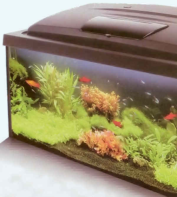 Запуск Вашего первого аквариума