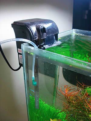Как происходит фильтрация воды в аквариуме